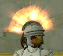 Freeport Legionnaire's Helmet