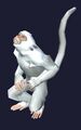 Race monkey.jpg