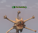 The Beeholder