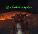A Sootfoot rockpicker