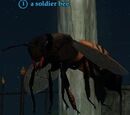 Soldier bee