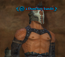A Dunefury bandit