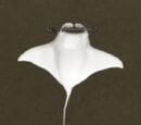 A phantasmal ray