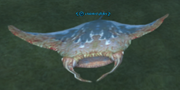 A tainted glider