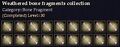 CQ weathered bone fragments collection Journal.jpg