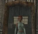 Basic Mirror
