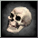 Icon skull human (Common).png