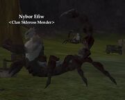 Nybor Efiw
