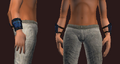 Arctic Deacon's Wristguard (Equipped).png