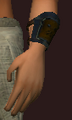 Arctic Frostwind Oracle's Bracers (Equipped).png