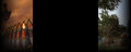 Wiki-background 2.jpg