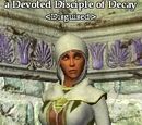 A Concordium sorcerer