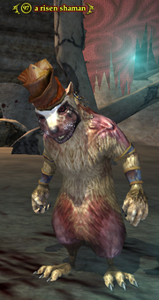 A risen shaman