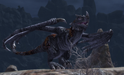 Rothorn the Agitator