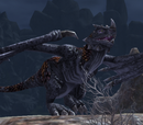 Rothorn the Agitator