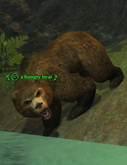A hungry bear