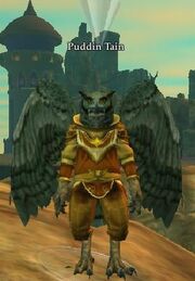 Puddin Tain