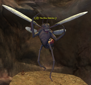 The Hive Watcher