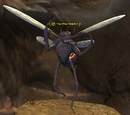 The Hive Watcher