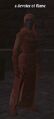 A devotee of flame.jpg