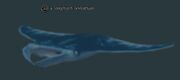 A longbarb leviathan
