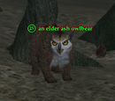 An elder ash owlbear