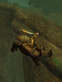 Flyingrhino.jpg
