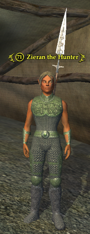 Zieran the Hunter (Wood Elf)