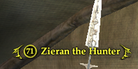 Zieran the Hunter (Wood Elf)