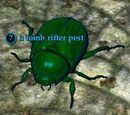 A tomb rifter pest