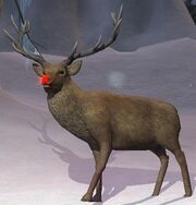 A reindeer (Elfin Wonderland)