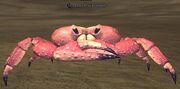 Flesh scavenger