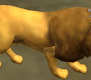 Valiant Beast
