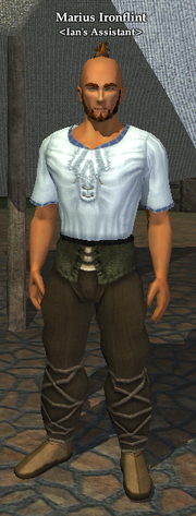 Marius Ironflint