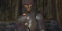 Outland Sentry Amward