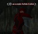 An ecstatic Sellok Cultist
