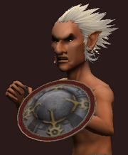 Awakened Shield of Offense (Equipped)