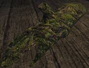 Hollow log (Visible)