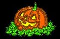 Jack O'Lantern.jpg