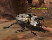 A teralid terraformer