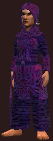 Illusory Robe of Shifting Visions (Equipped)