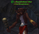 A Boombottom lifter