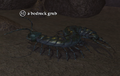 A bedrock grub.png