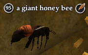 A giant honey bee