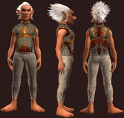 Breastplate of Death's Respite (Equipped)
