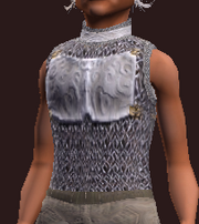 Pathfinder's Shadowed Chain Tunic (Equipped)