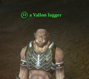 A Vallon lugger