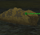 A slimy mulcher