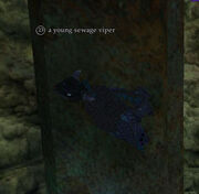 A young sewage viper