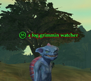 A fog grimmin watcher